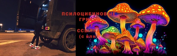 a pvp Гусев