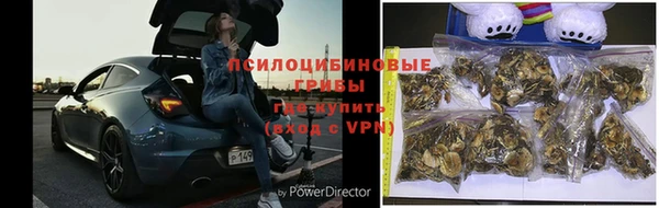 a pvp Гусев