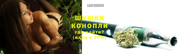 a pvp Гусев