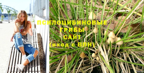a pvp Гусев