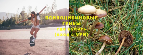 мет Гусь-Хрустальный