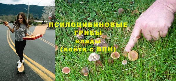 ГАЛЛЮЦИНОГЕННЫЕ ГРИБЫ Гусиноозёрск