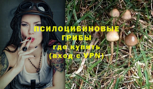 ГАЛЛЮЦИНОГЕННЫЕ ГРИБЫ Гусиноозёрск