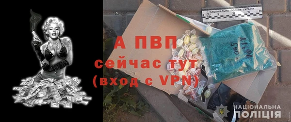a pvp Гусев