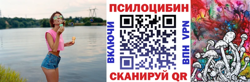 Купить закладки  Ельня  Галлюциногенные грибы Cubensis 